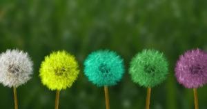 The Inconvenient Truth About Change